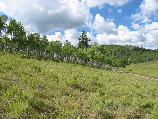 44 Alpine Lane Ridgway, CO 81432 - Photo 5 of 8 Additional Photo