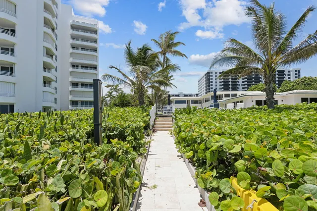 a view of a city with tall buildings