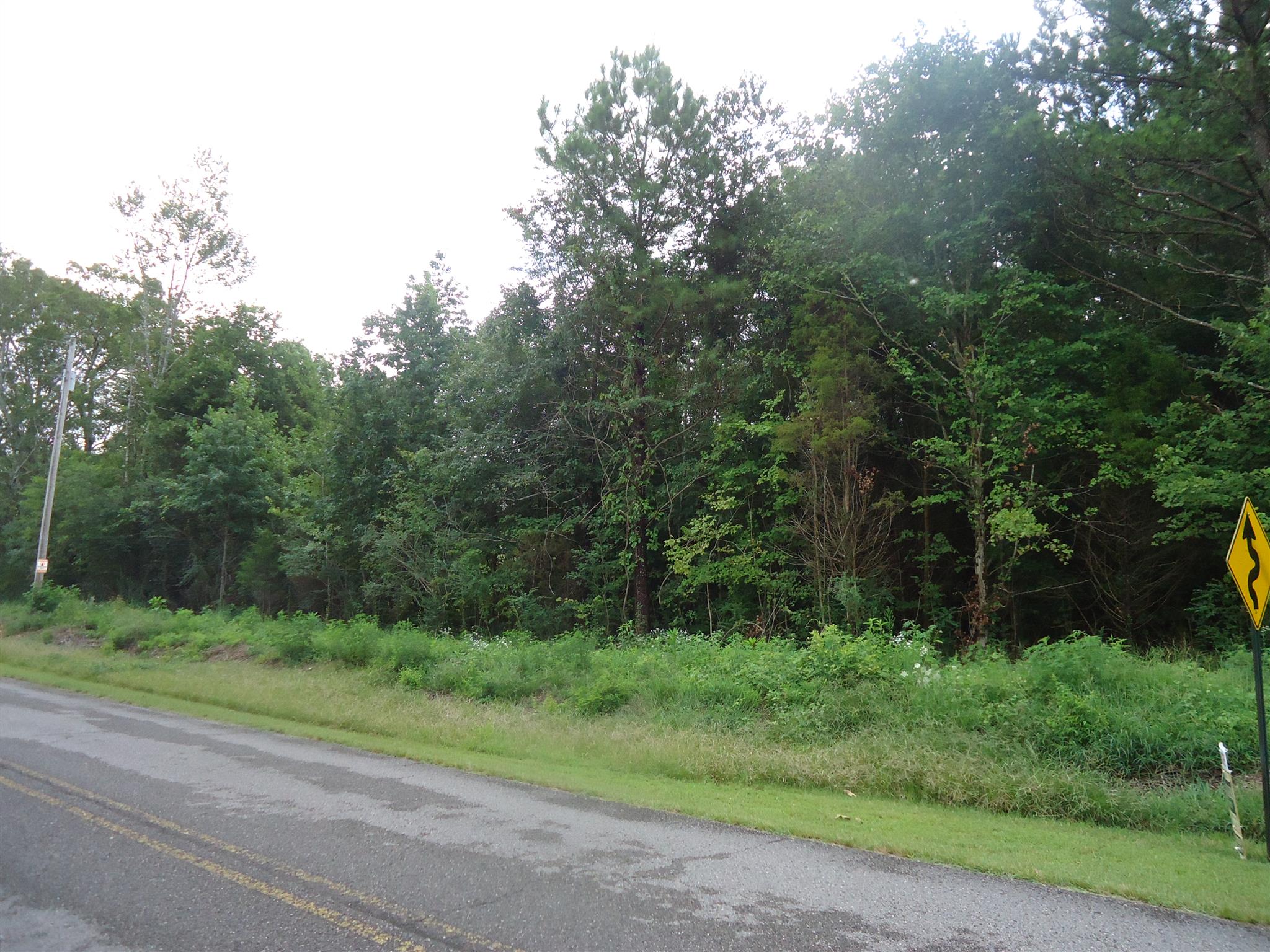 0 Jennings Chapel Road Toney, AL 35773 - Photo 1 of 6 a view of a yard with a plants and trees