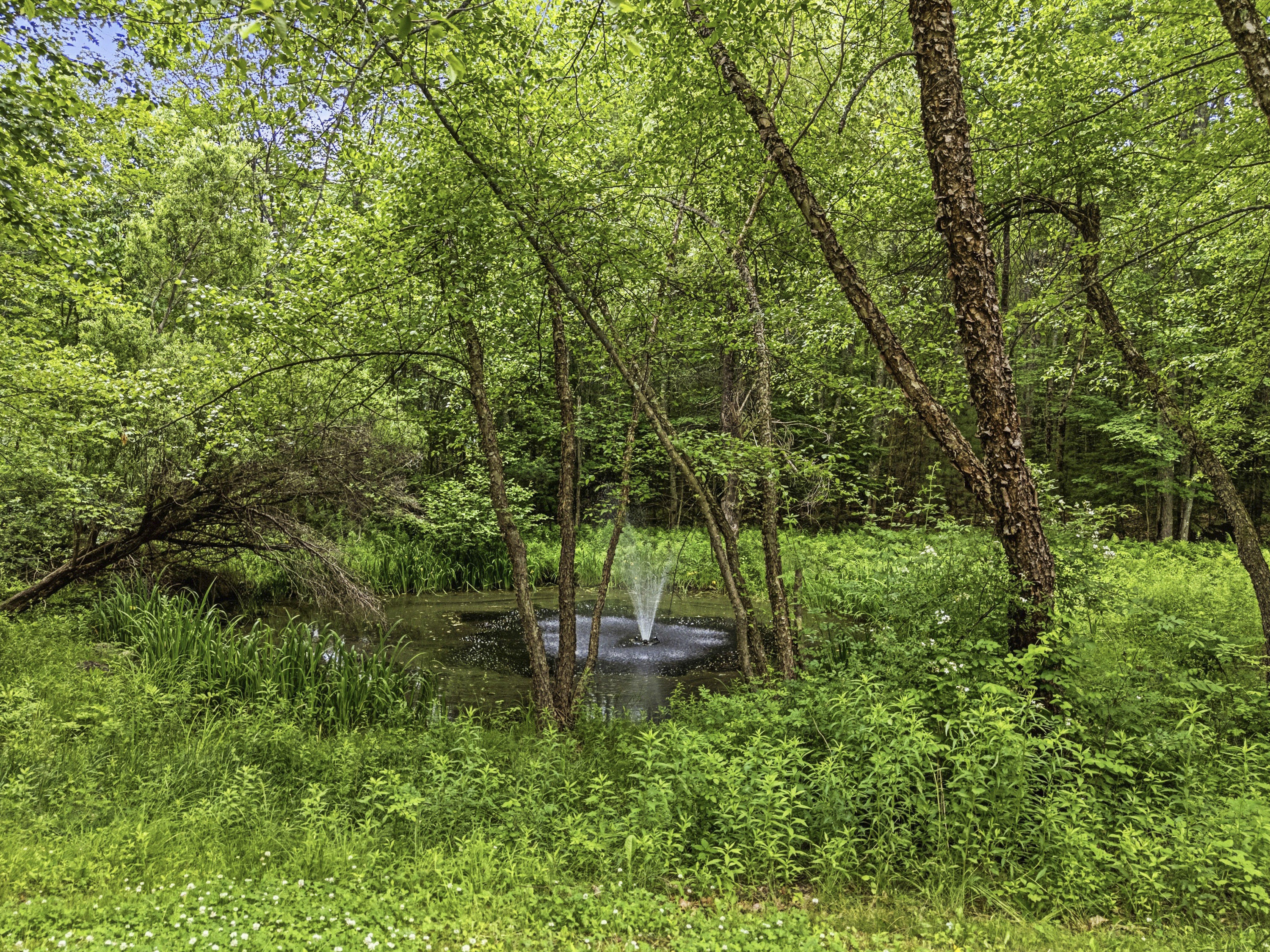 169 Jenkins Road Saco, ME 04072 - Photo 51 of 56