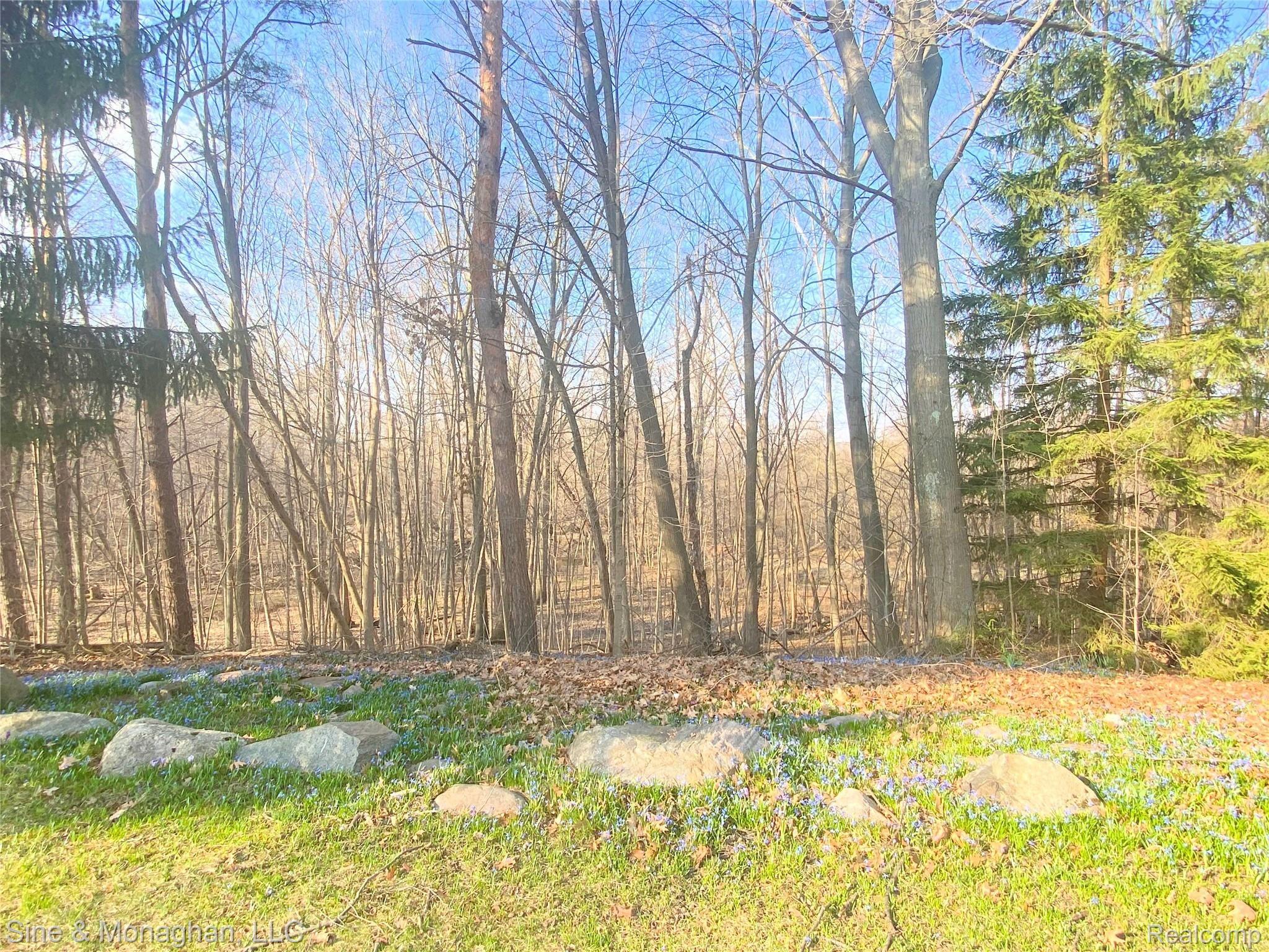 2804 Ellsworth Road Columbus, MI 48063 - Photo 2 of 41 Photo Apr 08, 9 20 51 AM_pe.jpg
