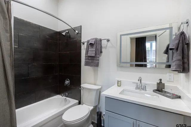 a bathroom with a toilet a sink and a mirror