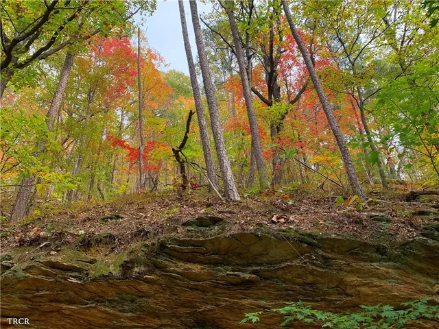 $14,999 | 1686 Shade Tree Drive, Dawsonville, GA 30534