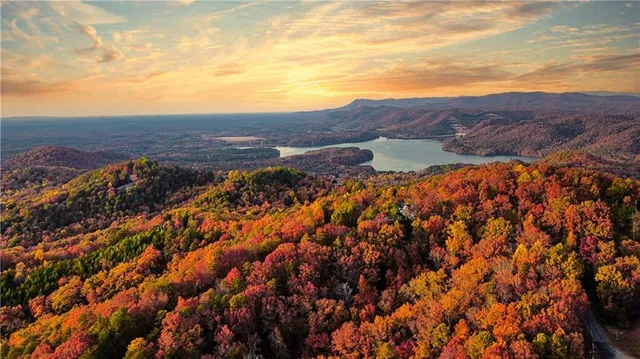 $14,999 | 1686 Shade Tree Drive, Dawsonville, GA 30534