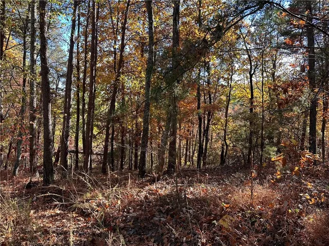 $14,999 | 1686 Shade Tree Drive, Dawsonville, GA 30534