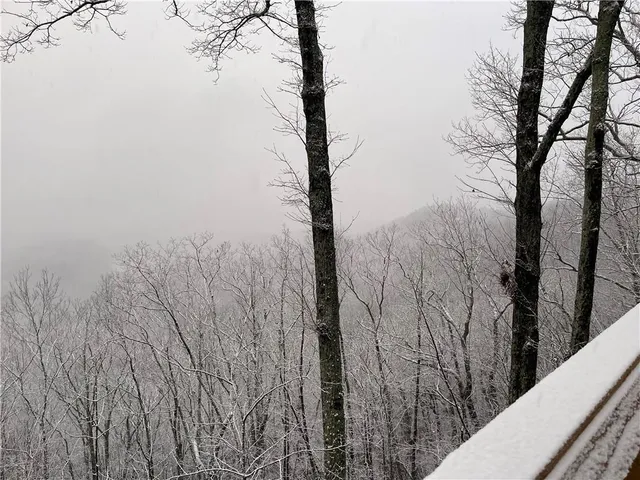 $14,999 | 1686 Shade Tree Drive, Dawsonville, GA 30534