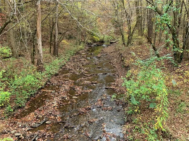 $14,999 | 1686 Shade Tree Drive, Dawsonville, GA 30534