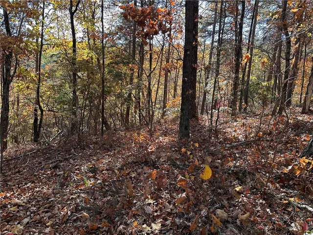 $14,999 | 1686 Shade Tree Drive, Dawsonville, GA 30534