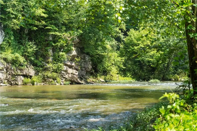 $14,999 | 1686 Shade Tree Drive, Dawsonville, GA 30534