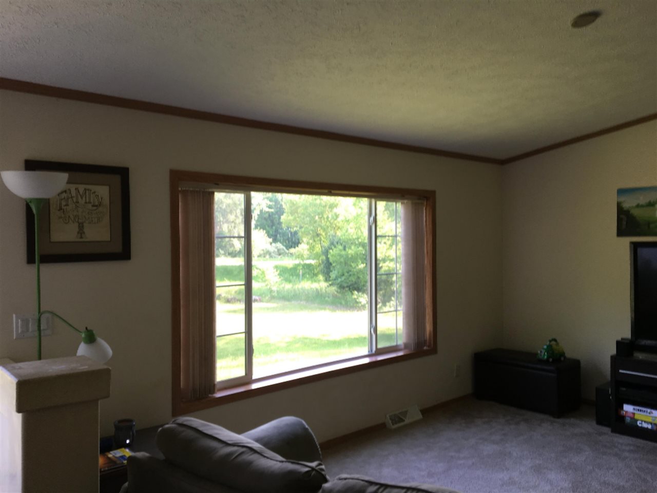 6643 East Filmore Road Walkerville, MI 49459 - Photo 7 of 44