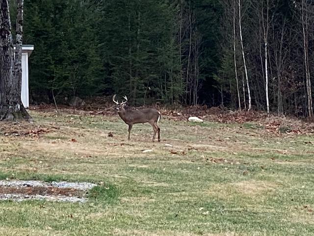810 Stow Road Stow, ME 04037 - Photo 23 of 27 image2 (2)