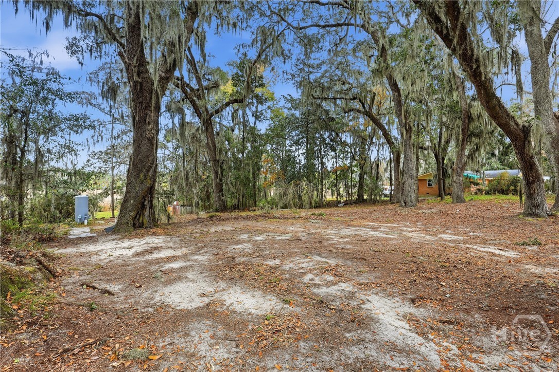 123 Salt Creek Road Savannah, GA 31405 - Photo 24 of 34