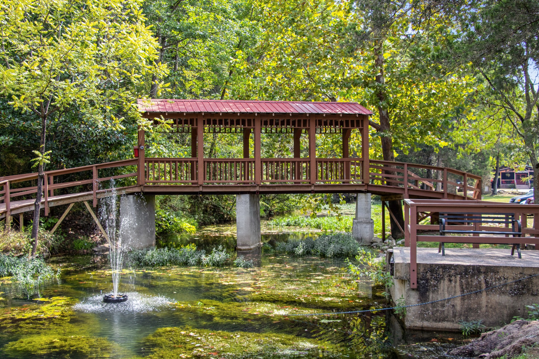 299 Natural Bridge Park Road Waynesboro, TN 38485 - Photo 39 of 63 a view of a swimming pool with a deck