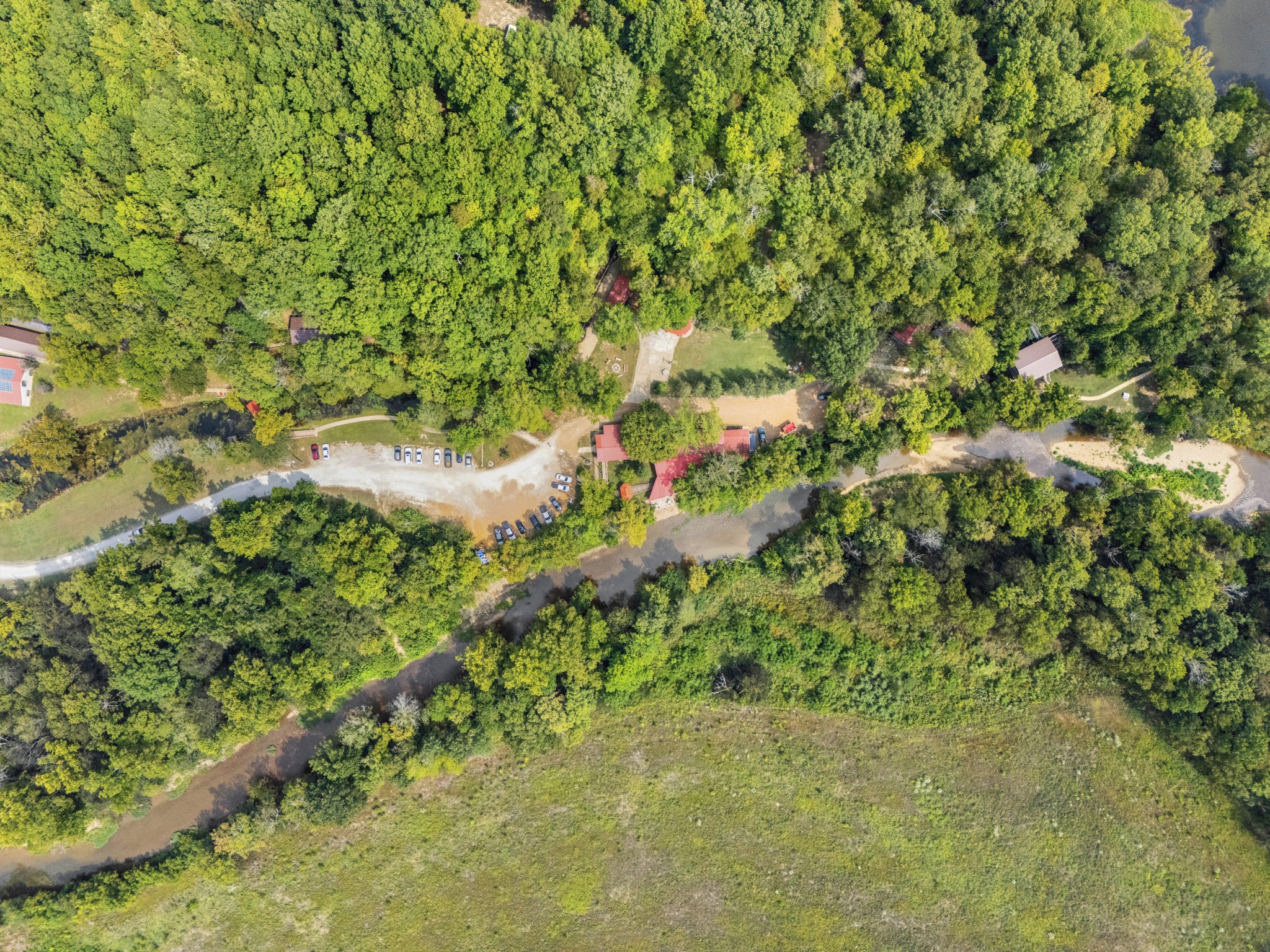 299 Natural Bridge Park Road Waynesboro, TN 38485 - Photo 44 of 63 a view of a garden with plants