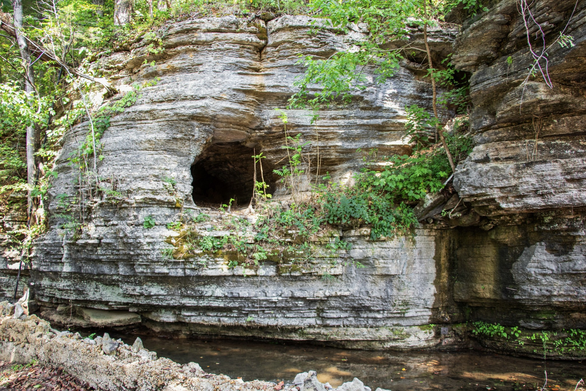 299 Natural Bridge Park Road Waynesboro, TN 38485 - Photo 60 of 63