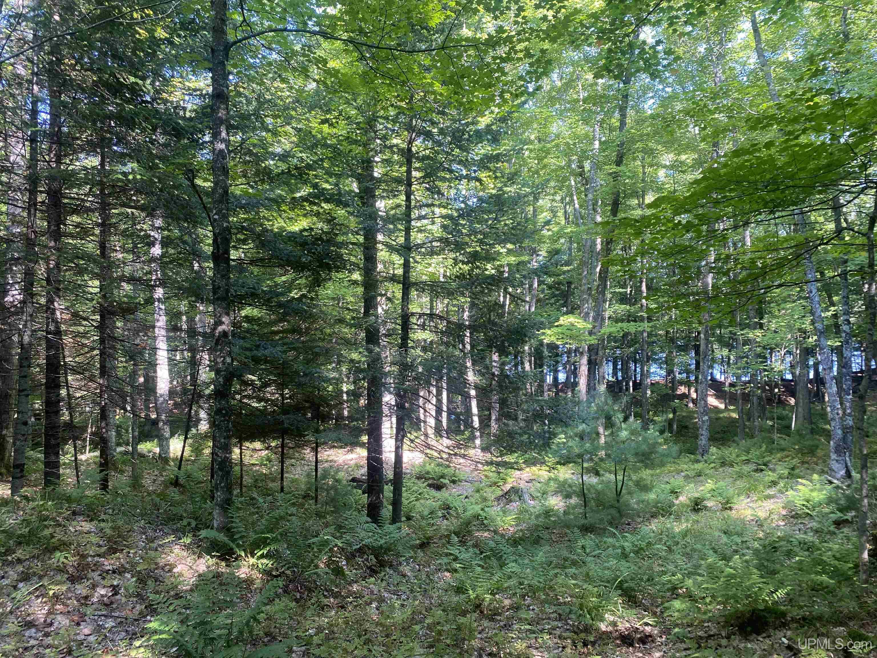 13-14 Grace Lake Road Watersmeet, MI 49969 - Photo 15 of 23