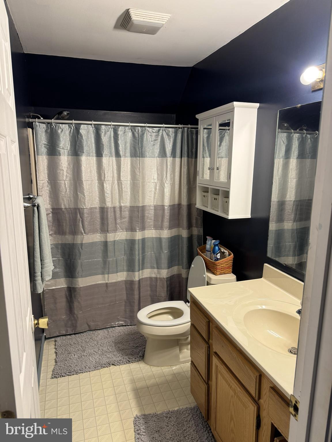 26210 Oak Grove Road Seaford, DE 19973 - Photo 20 of 33 a bathroom with a sink a toilet a shower and a mirror