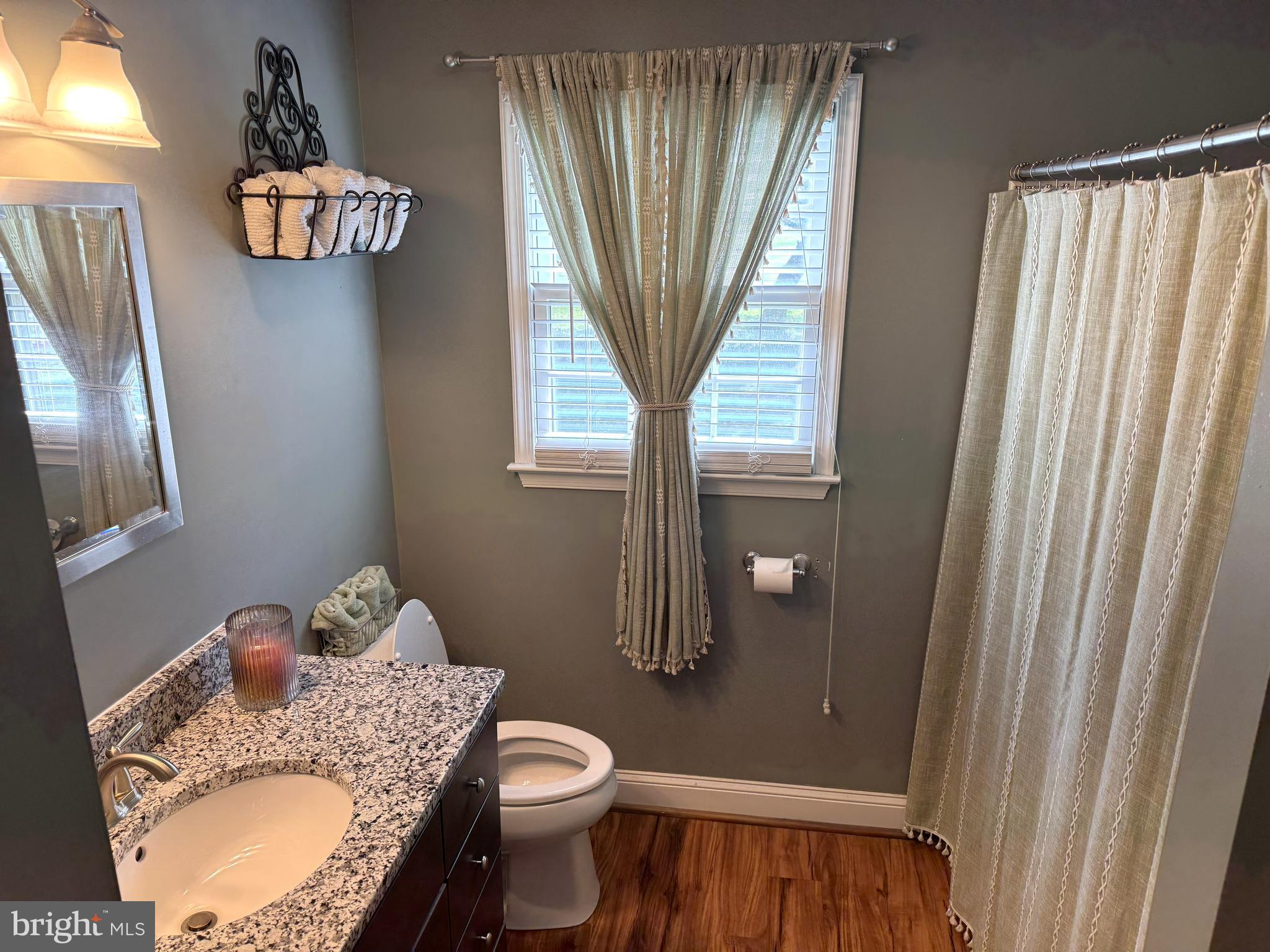 26210 Oak Grove Road Seaford, DE 19973 - Photo 9 of 33 a bathroom with a sink a toilet and shower curtain