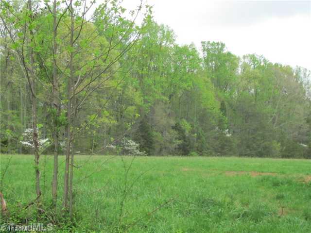 5906 Pepper Road Oak Ridge, NC 27310 - Photo 15 of 16 Land.