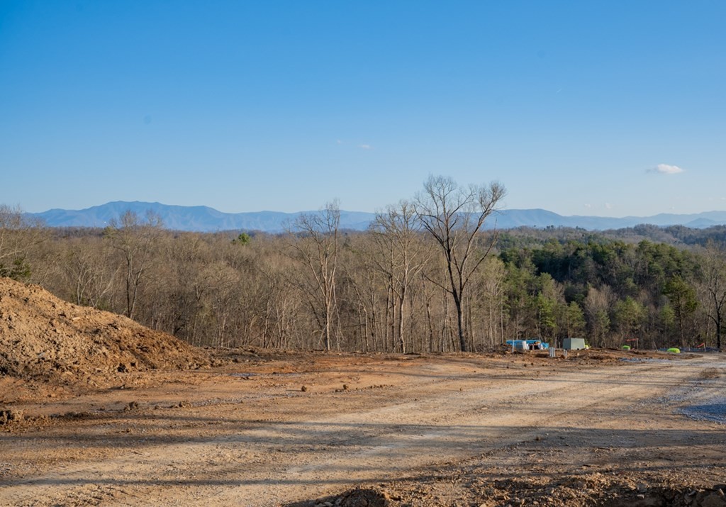 1218 Reedmont Way Sevierville, TN 37876 - Photo 18 of 20 Gallery Image 18