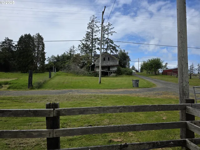 a view of a park with large trees
