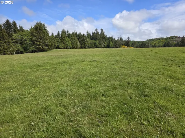 a view of a field with an ocean