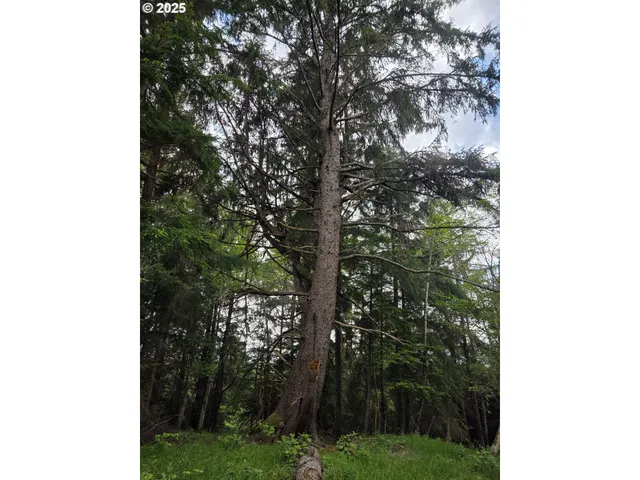 $4,980,000 | 91146 Pioneer Farm Lane, Warrenton, OR 97146