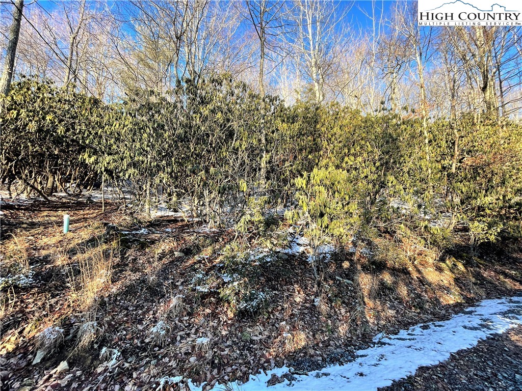 220 Oak Road Beech Mountain, NC 28604 - Photo 3 of 6 Gallery Image 3