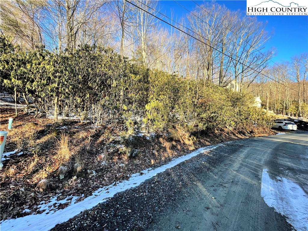 220 Oak Road Beech Mountain, NC 28604 - Photo 4 of 6 Gallery Image 4