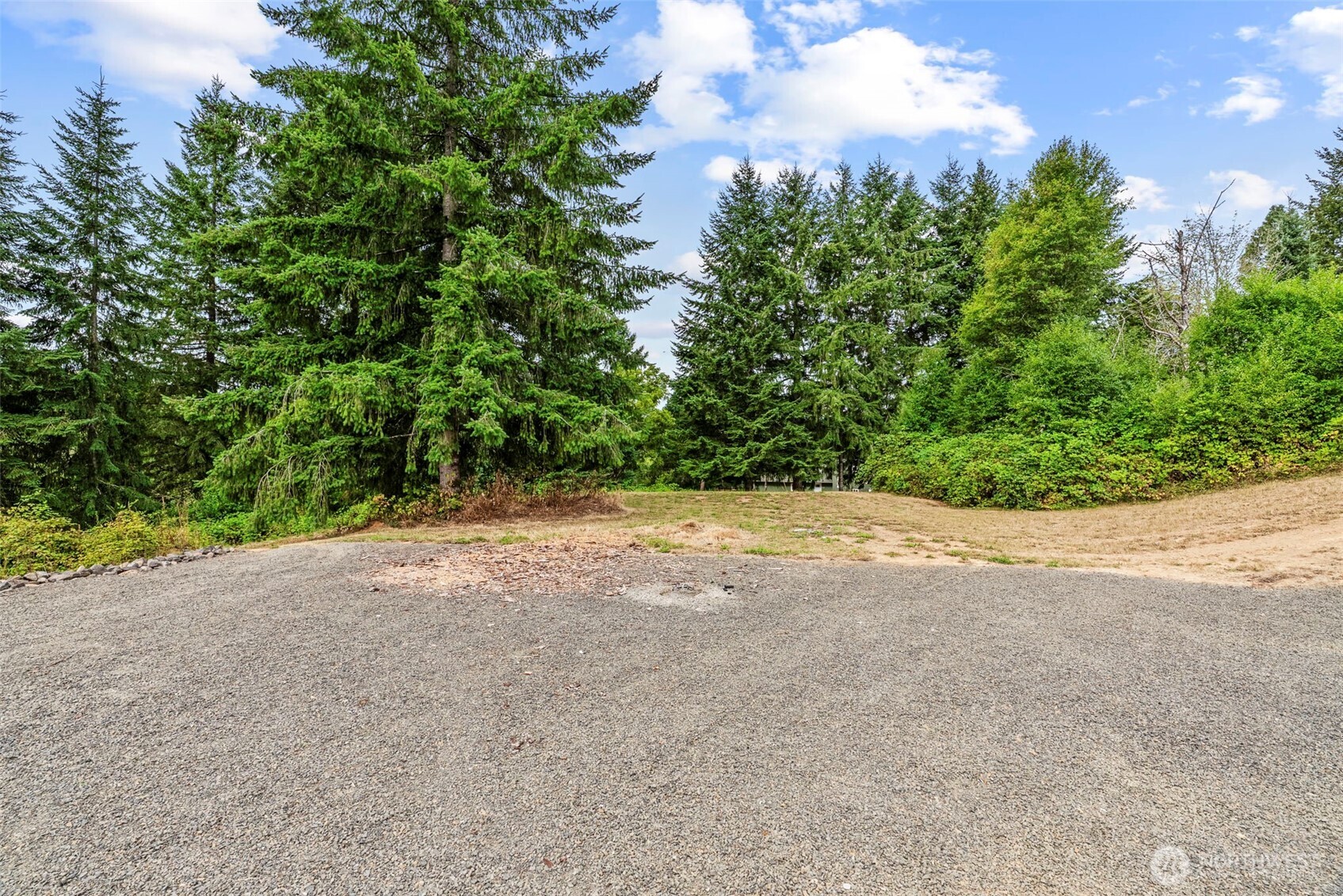 652 Ragland Road Longview, WA 98632 - Photo 32 of 40 a view of a field with plants and trees