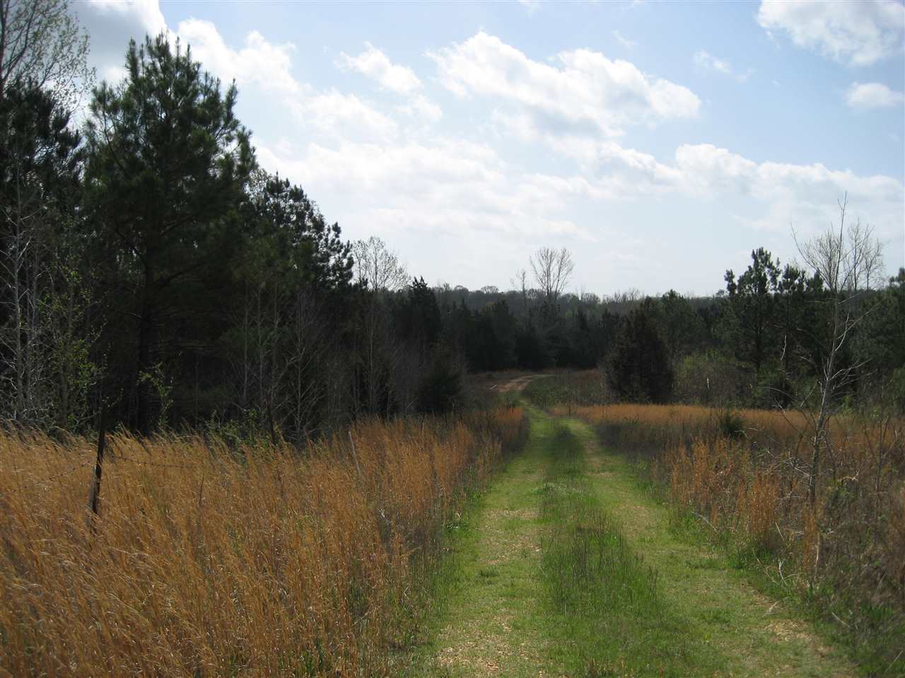 407 Winding Ridge Road Adamsville, TN 38310 - Photo 1 of 20