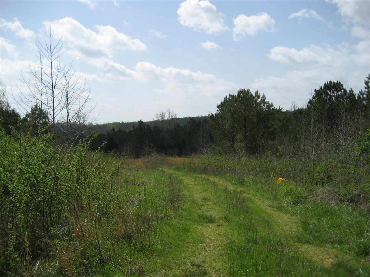 407 Winding Ridge Road Adamsville, TN 38310 - Photo 11 of 20