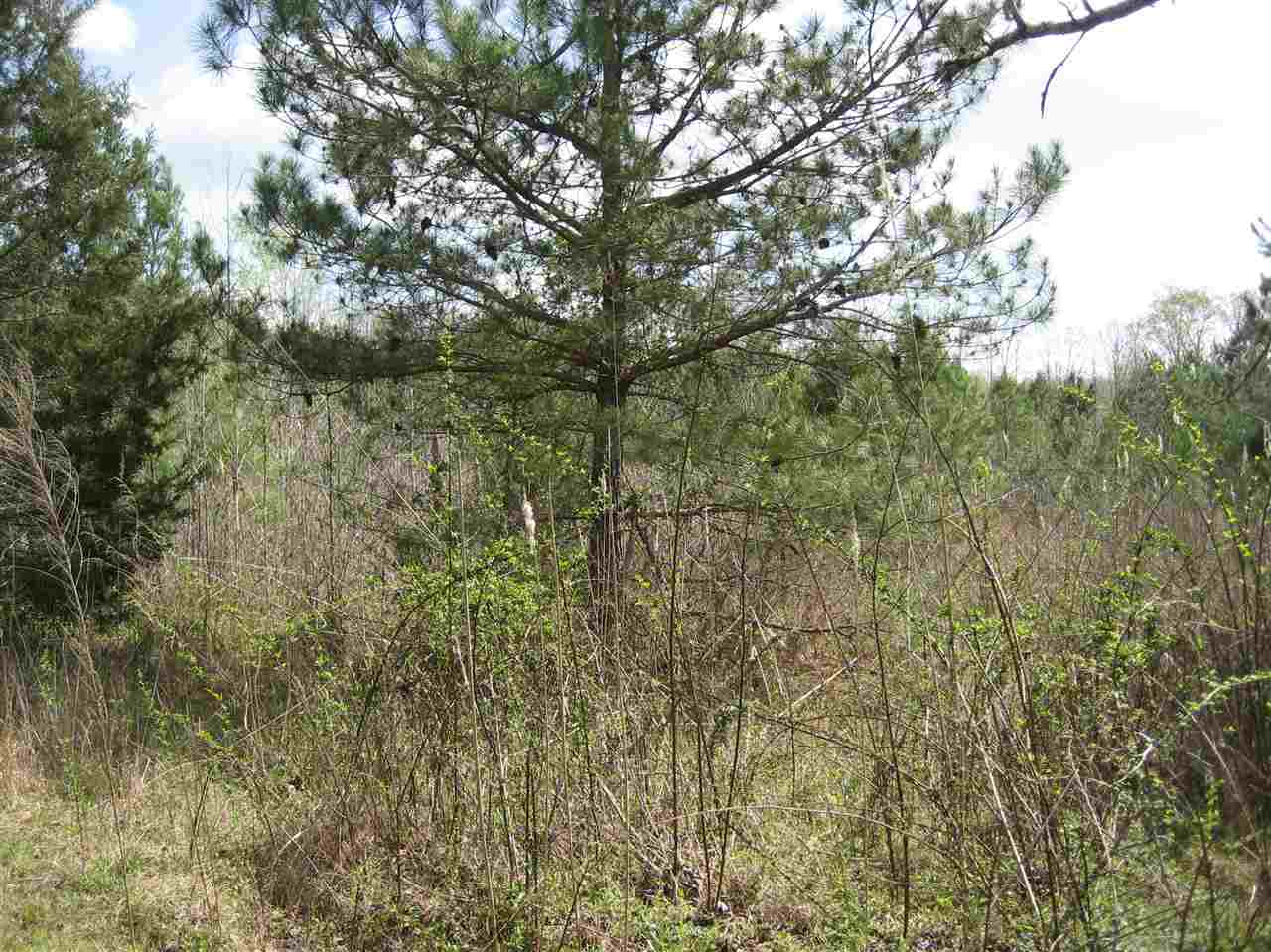 407 Winding Ridge Road Adamsville, TN 38310 - Photo 12 of 20