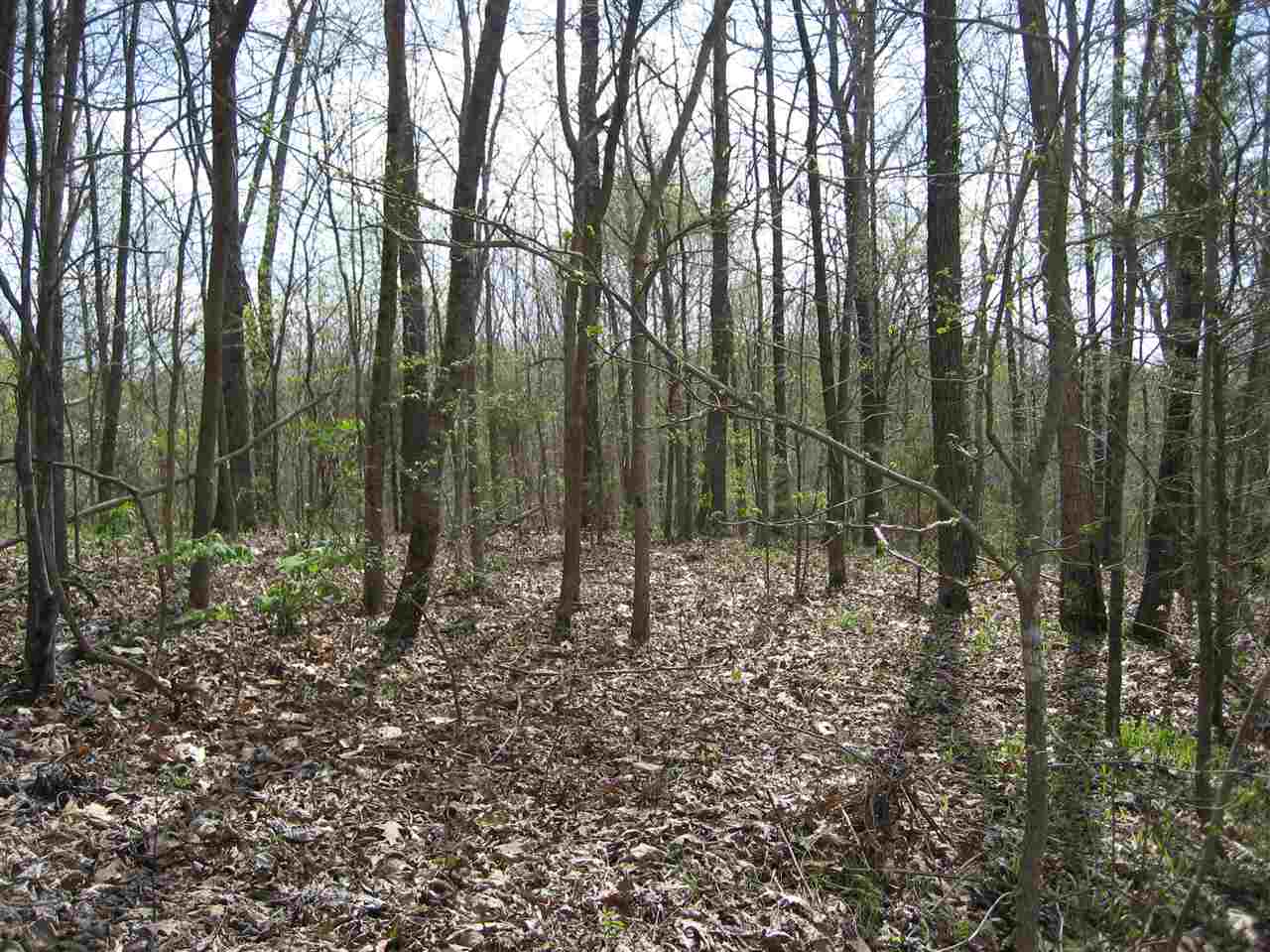 407 Winding Ridge Road Adamsville, TN 38310 - Photo 13 of 20