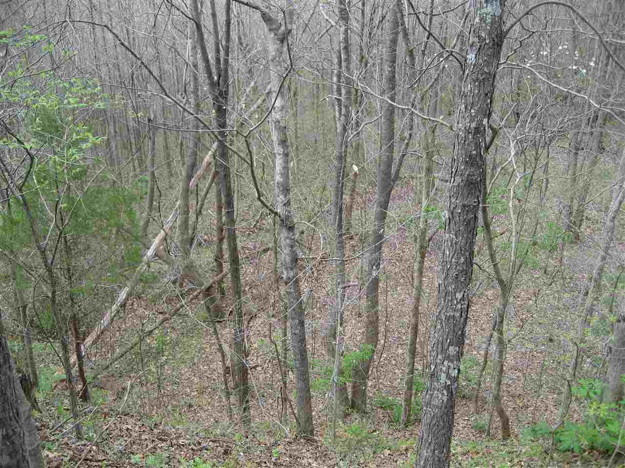 407 Winding Ridge Road Adamsville, TN 38310 - Photo 15 of 20