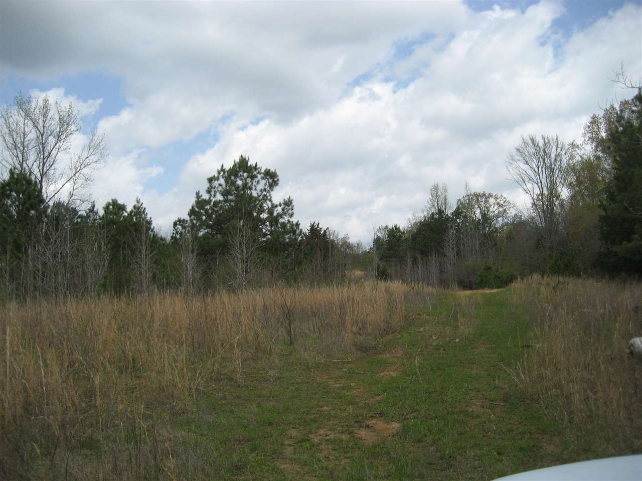 407 Winding Ridge Road Adamsville, TN 38310 - Photo 4 of 20