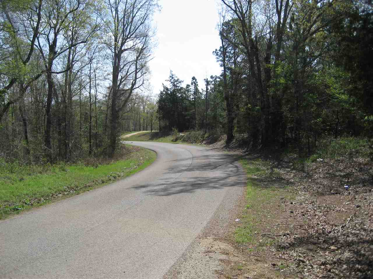 407 Winding Ridge Road Adamsville, TN 38310 - Photo 6 of 20