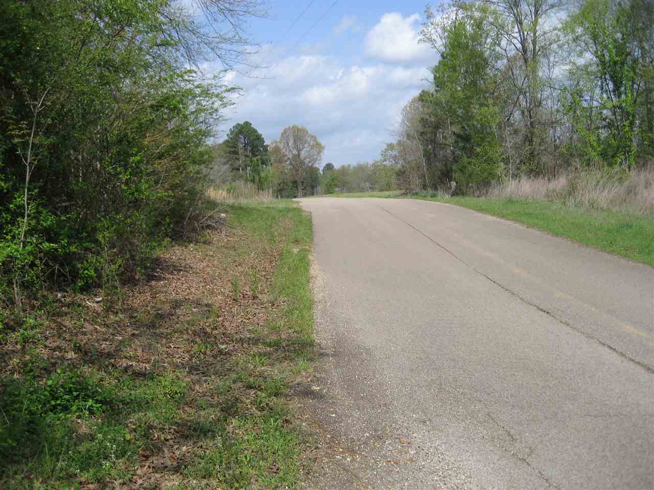 407 Winding Ridge Road Adamsville, TN 38310 - Photo 7 of 20