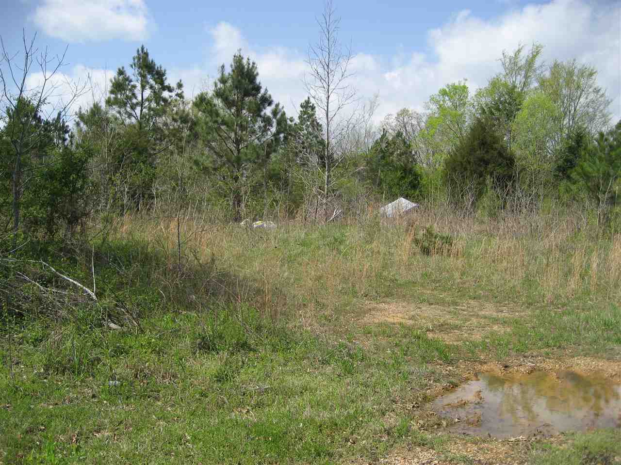 407 Winding Ridge Road Adamsville, TN 38310 - Photo 8 of 20