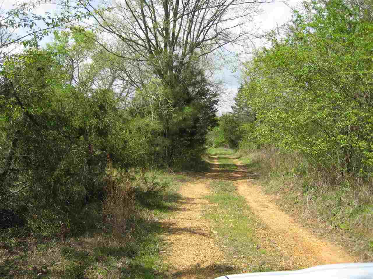407 Winding Ridge Road Adamsville, TN 38310 - Photo 9 of 20