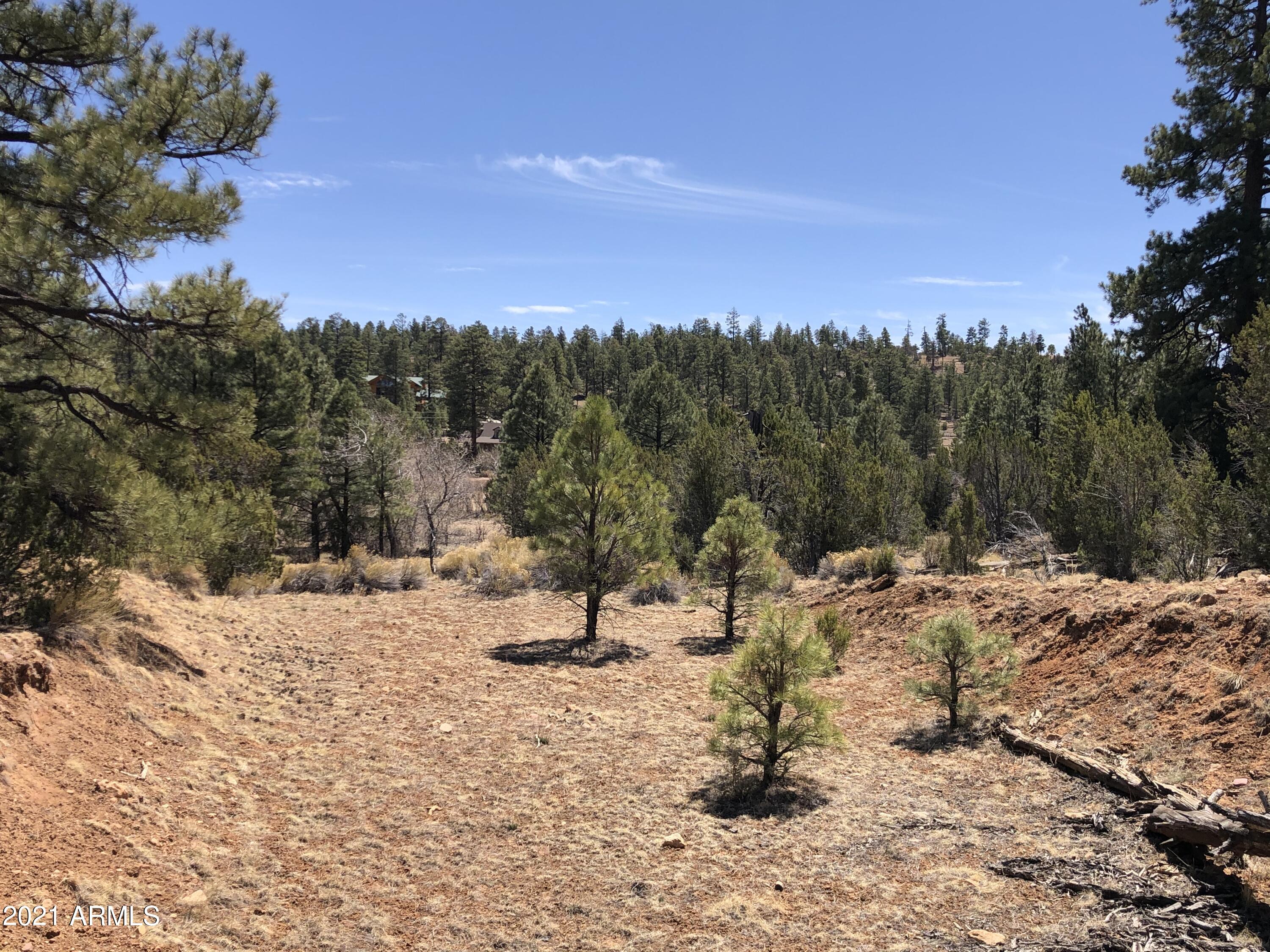 2865 Rockledge Road, Unit 31 Heber, AZ 85928 - Photo 8 of 16 IMG_2536