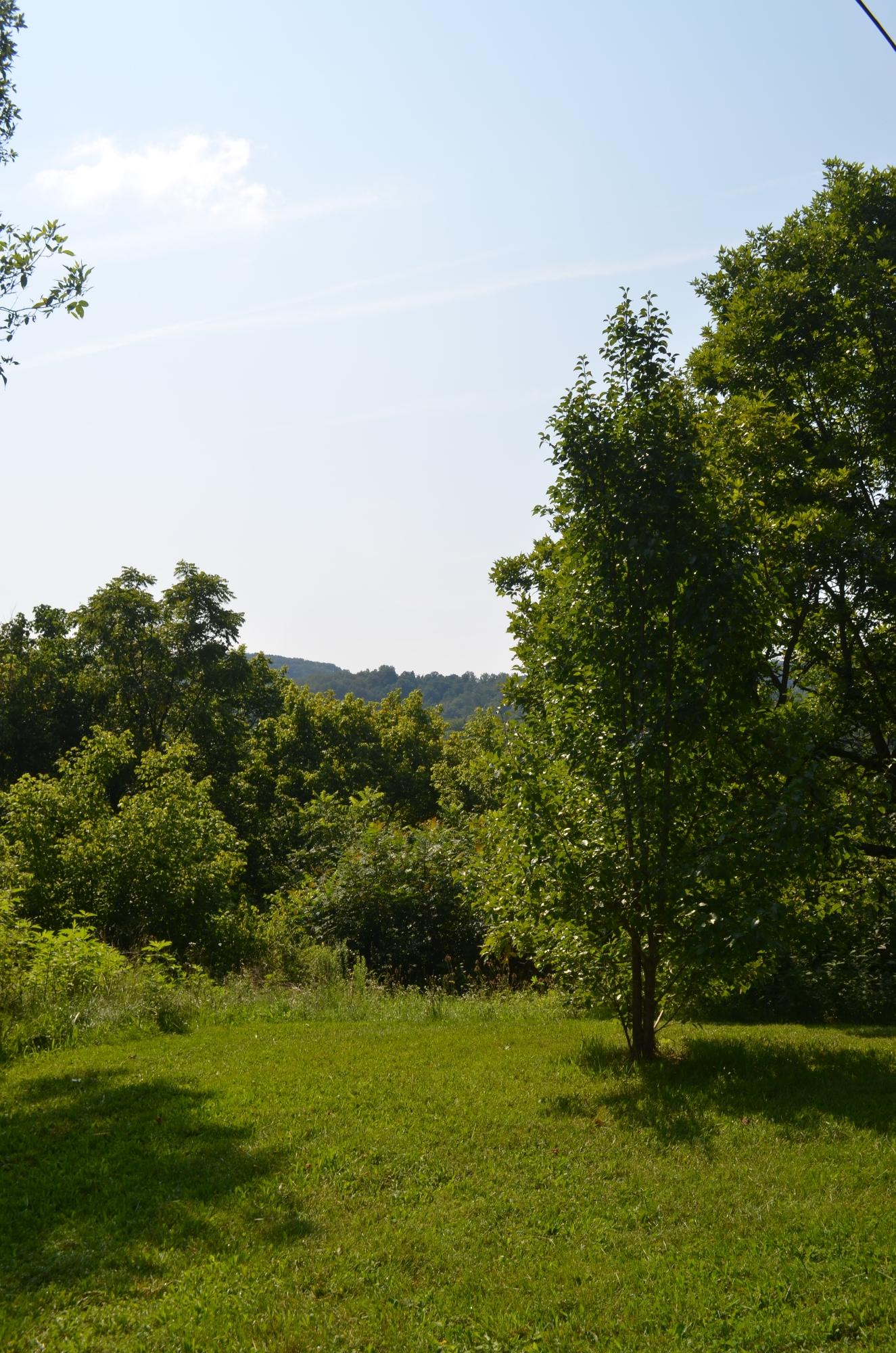 190 Brock Road Maynardville, TN 37807 - Photo 15 of 18 DSC_0027