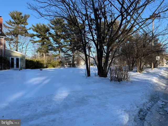 a view of a yard with a tree