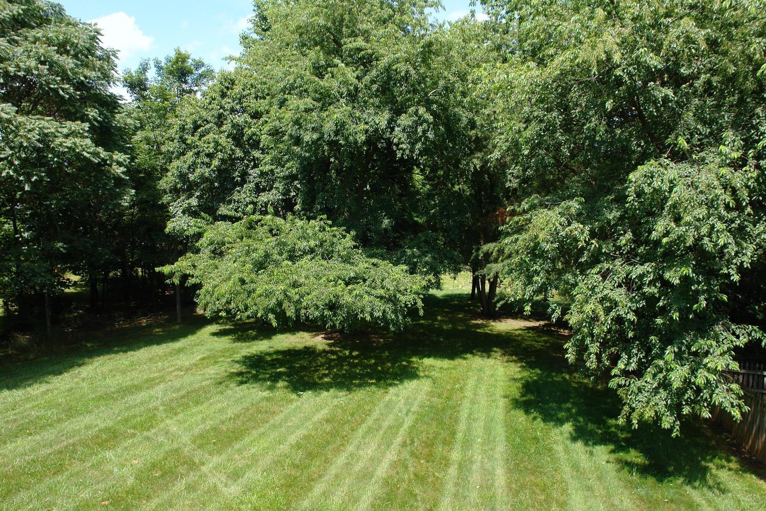 561 Winesap Road Roanoke, VA 24019 - Photo 19 of 45 561 Winesap Road Roanoke VA-large-022-45