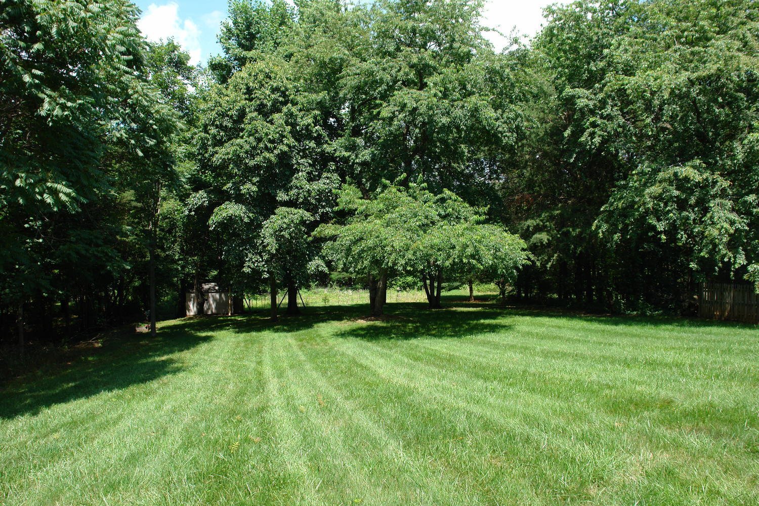 561 Winesap Road Roanoke, VA 24019 - Photo 43 of 45 561 Winesap Road Roanoke VA-large-045-44