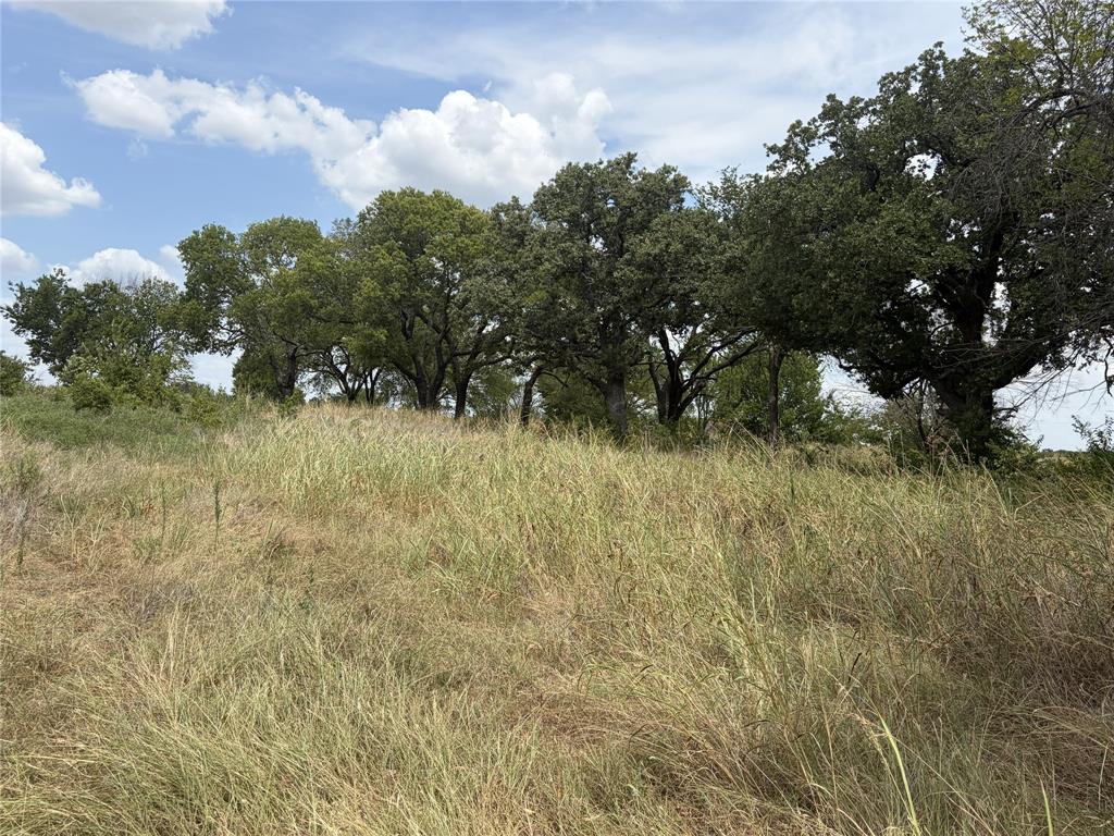 Tbd Upper Montague Road Bowie, TX 76230 - Photo 9 of 9 Expansive land featuring mature deciduous trees and natural vegetation