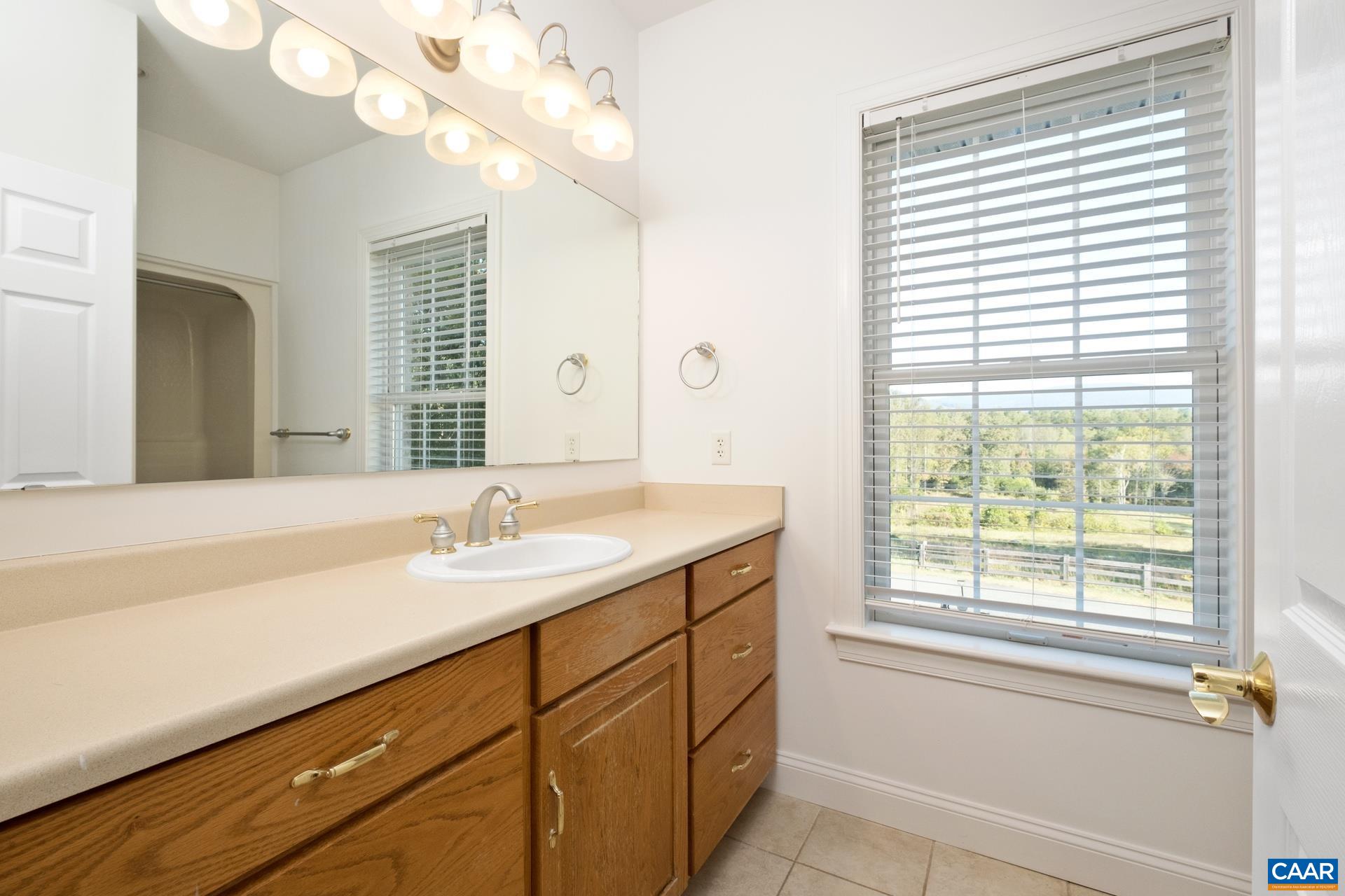 7550 Plank Road Afton, VA 22920 - Photo 28 of 49 a bathroom with a sink a vanity and a mirror