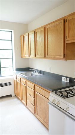 46 Chiswick Road, Unit 9 Boston, MA 02135 - Photo 4 of 10 Gallery Image 4
