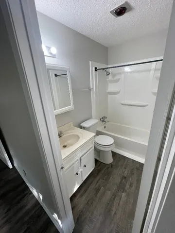 a bathroom with a sink toilet a mirror and bathtub