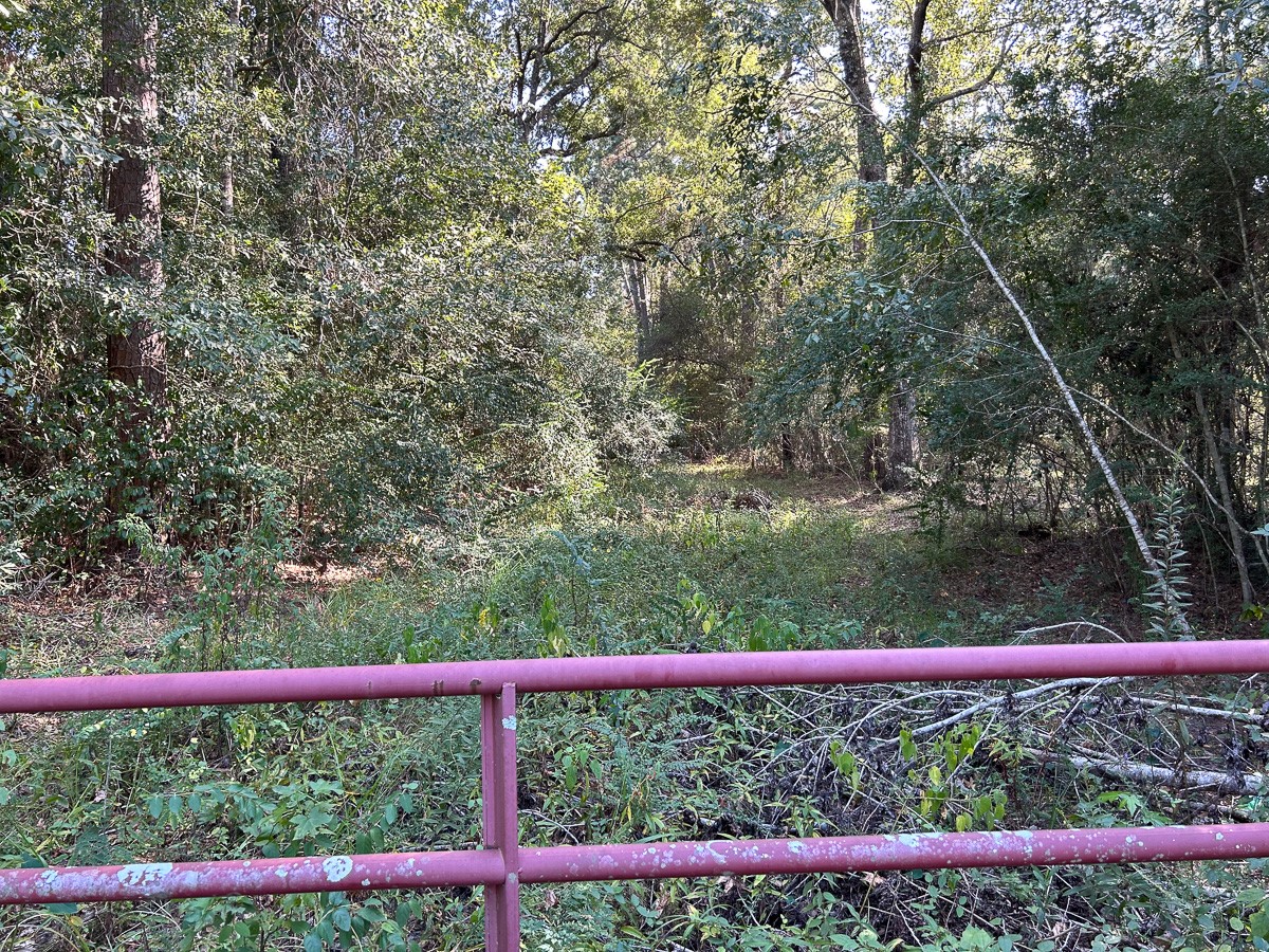 Tbd Lindsey Road Silsbee, TX 77656 - Photo 11 of 20